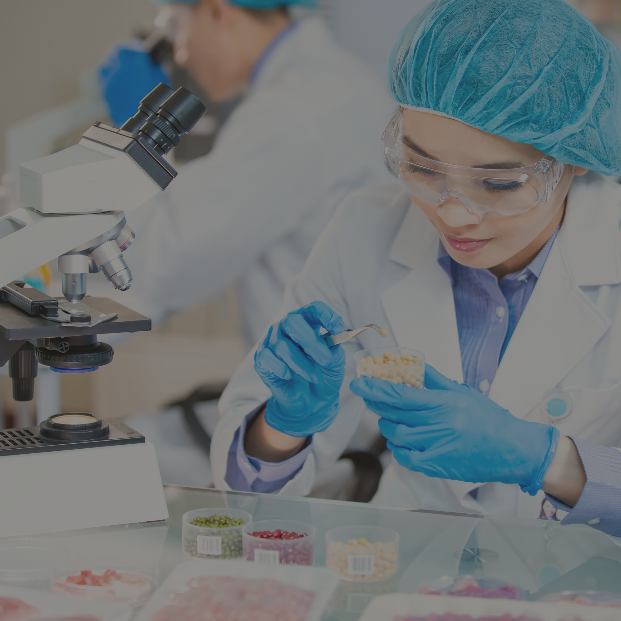 Food Safety & Hygiene (Level 2)-image