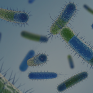 Legionella Awareness-image