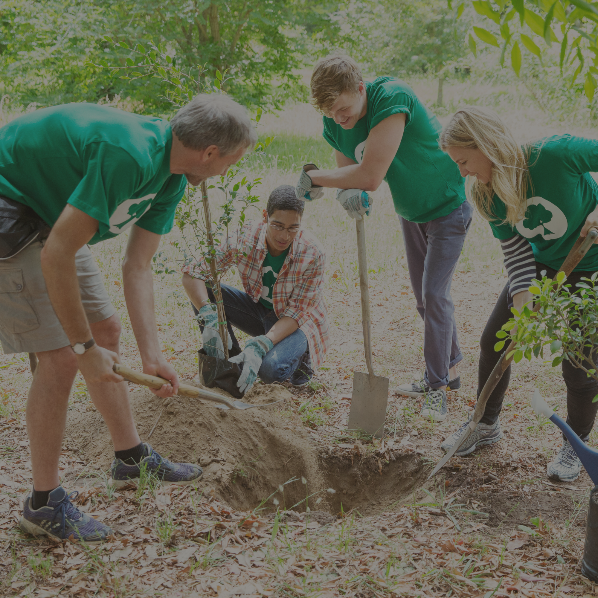 Volunteering Safely-image